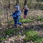 phoca_thumb_m_krteci uklime esko 6 Fotogalerie